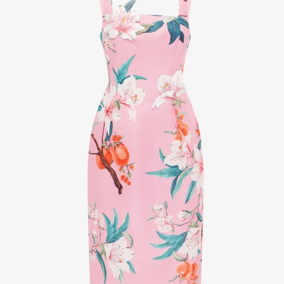 Leo Lin 'Larissa' Midi Dress in Lavish Print in Pink (NWOT) - Picture 4 of 12